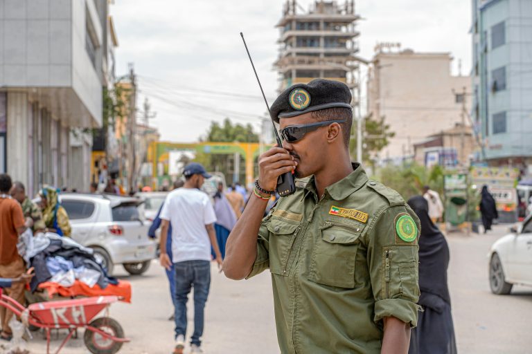 Egypt Assures Their Ally Somalia Amidst Regional Tensions