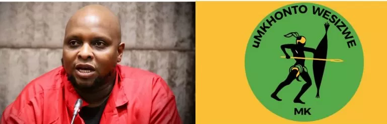 Shivambu’s Strategic Shift: A Master Plan to Bolster Progressive Forces and Topple the GNU?